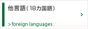 他言語（18カ国語）